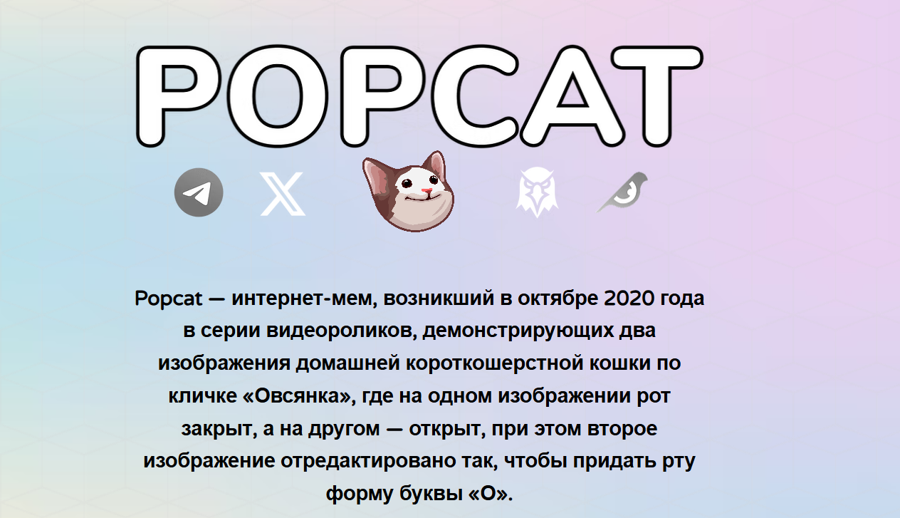 popcat криптовалюта обзор