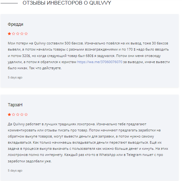 quilvvy lh shop что это
