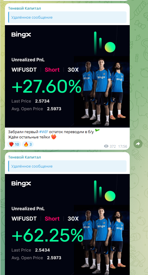 Теневой Капитал