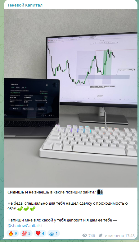 Теневой Капитал