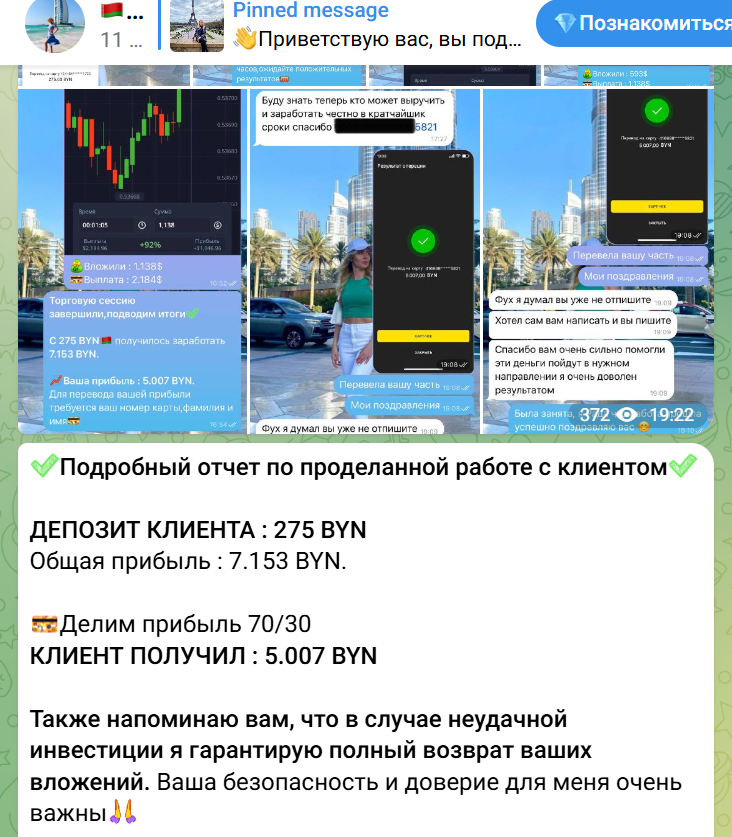 алина вишневская инвестор