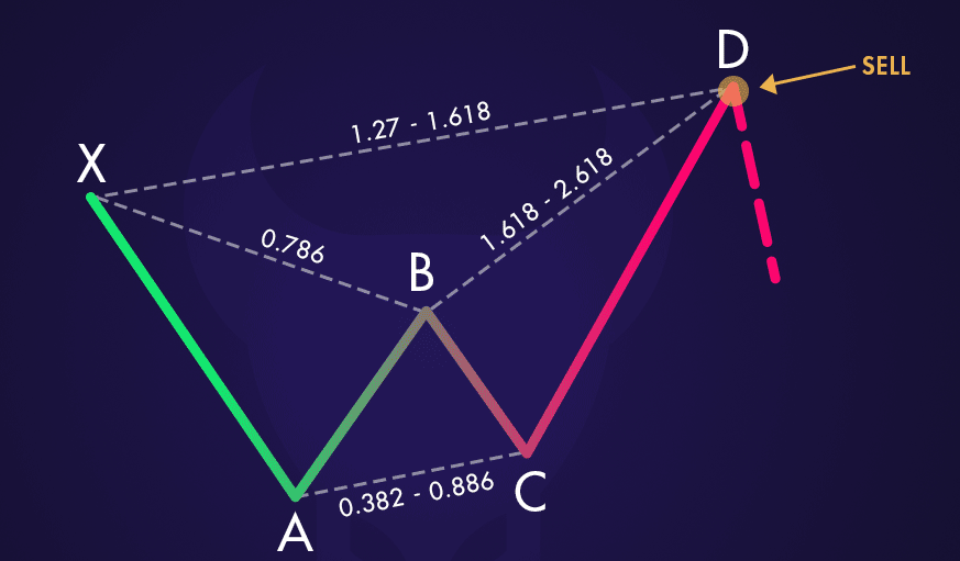 butterfly forex отзывы