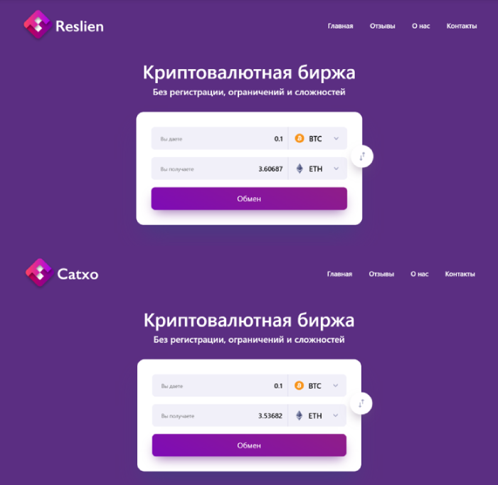 detuity обменник