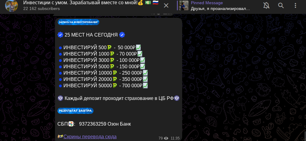 инвестор тарасова екатерина андреевна