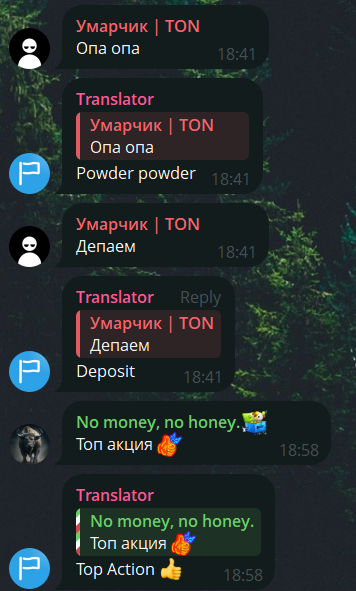 Кот в крипте
