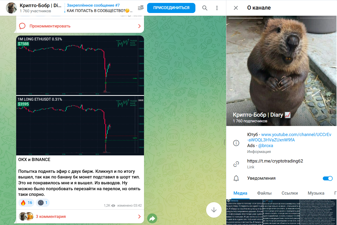 Крипто Бобр