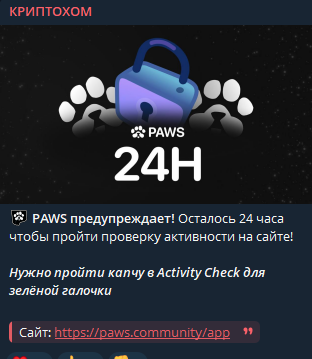 криптохом телеграмм