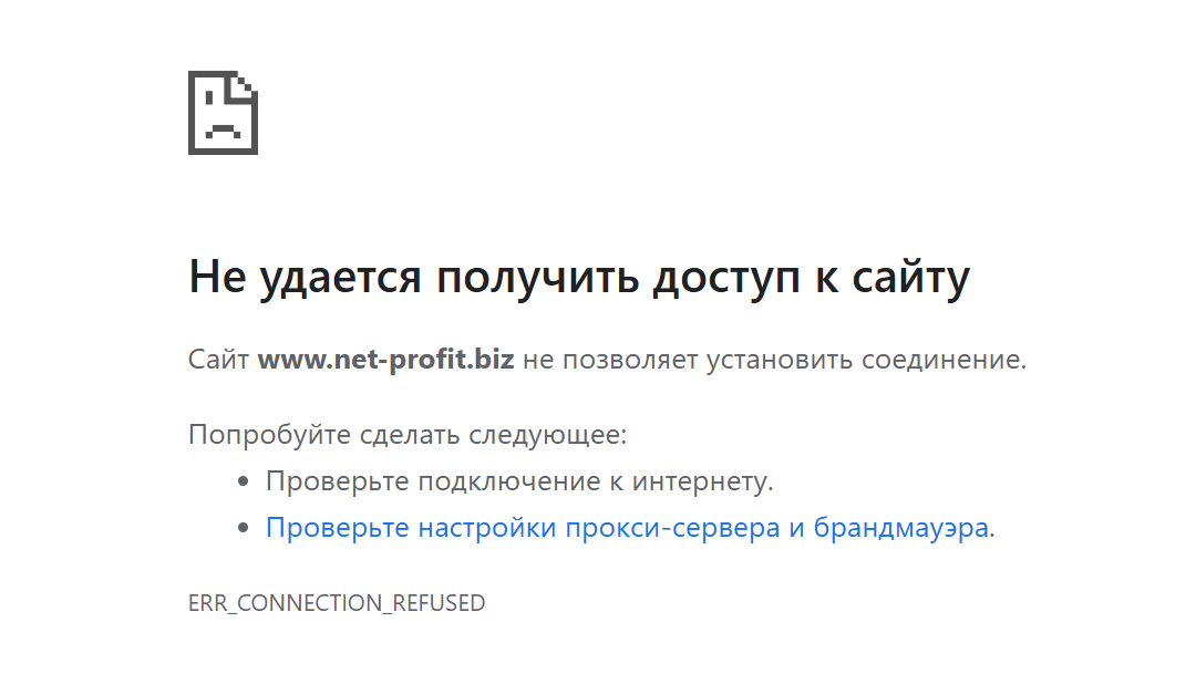 net profit biz