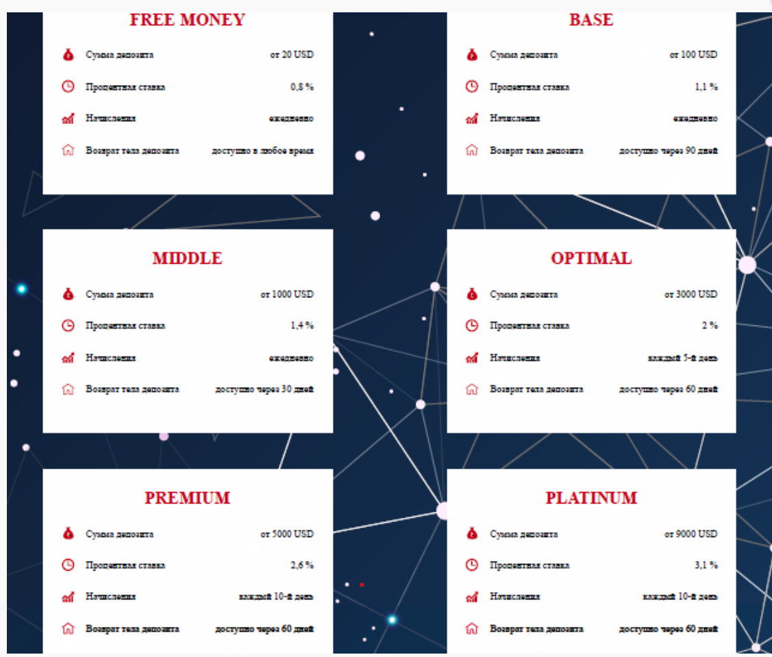 net profit biz