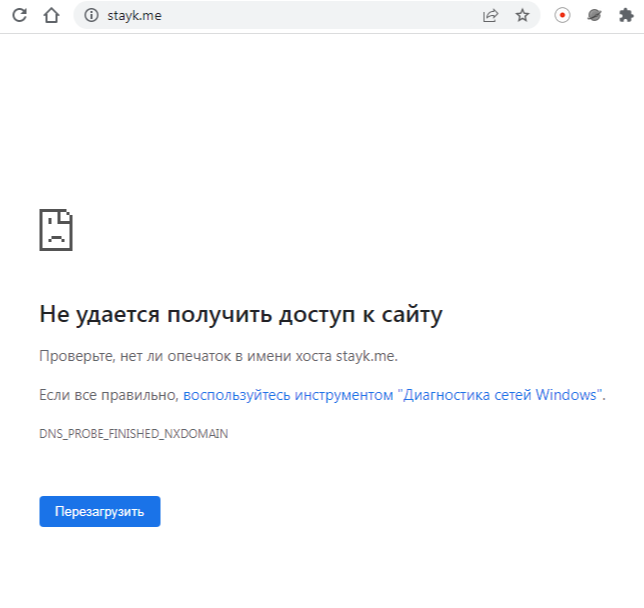 stayk отзывы