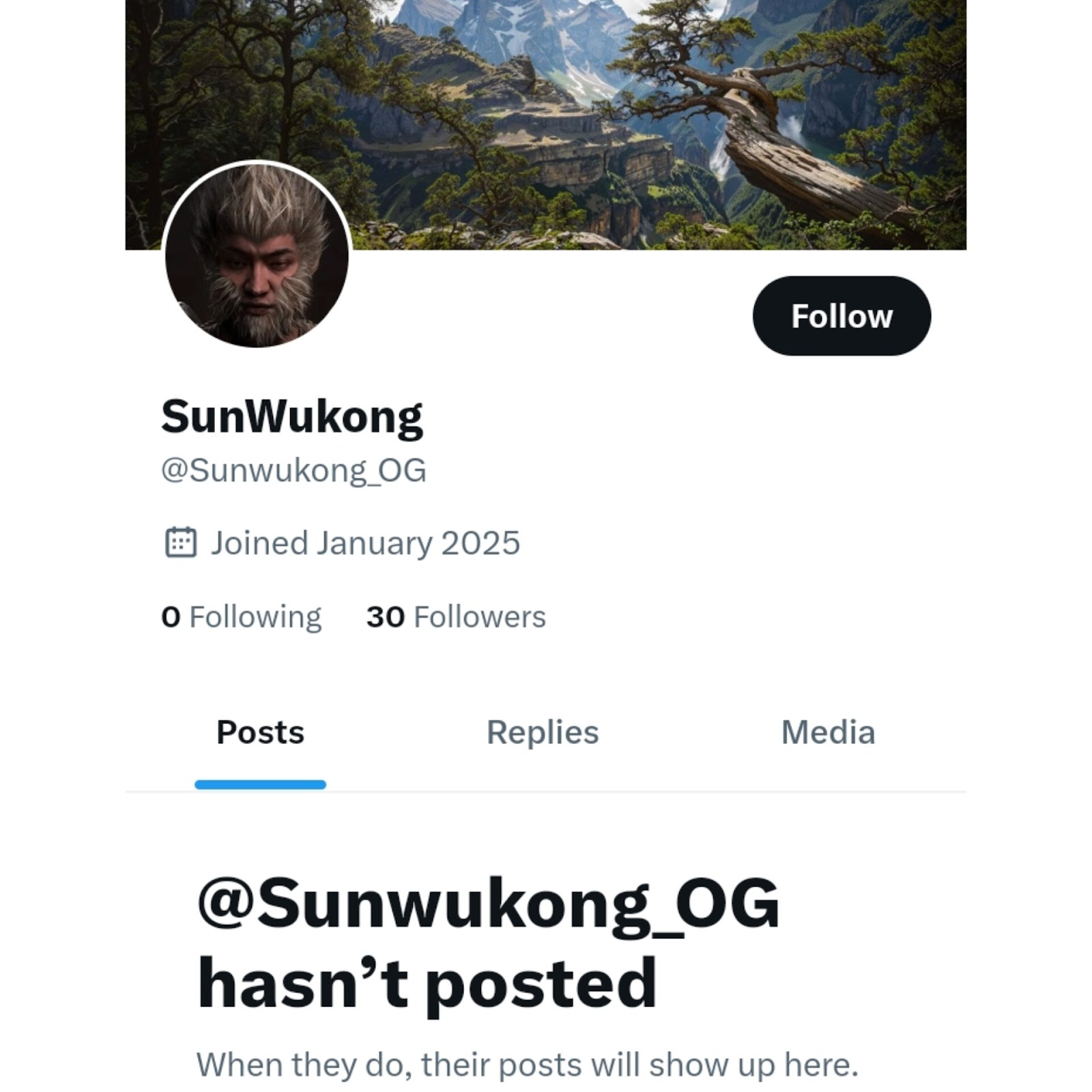 sun wukong token