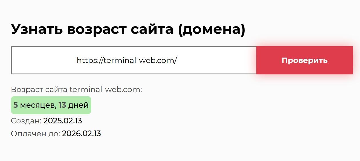 Terminal Web