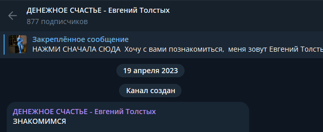 tolstykh e