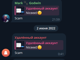 viki coin