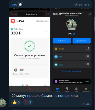 walletstarsbot курс