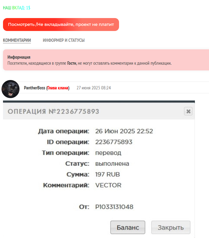 https vector li скам