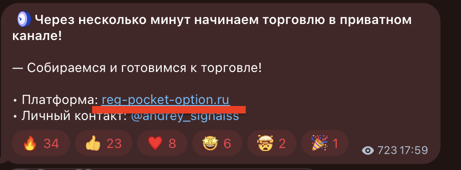 only trade телеграмм канал