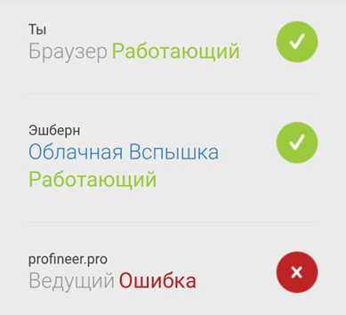 profineer profineer