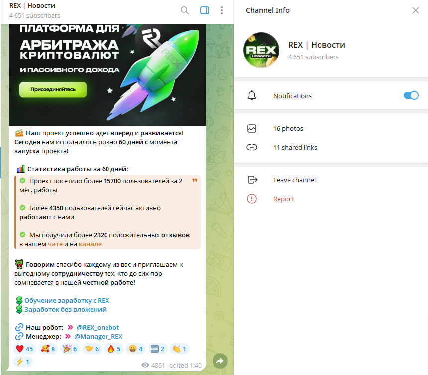 rex робот бот rex робот бот