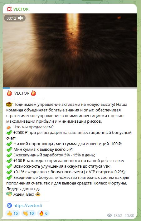 vector li заработок