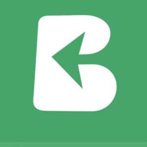 Bust Wallet