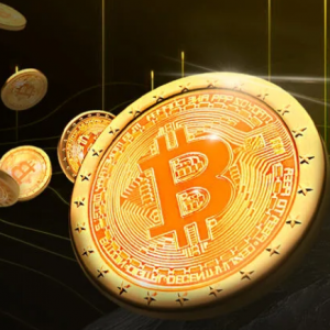 Cryptoacademyschool