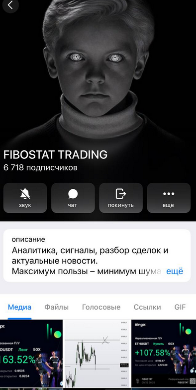 FIBOSTAT TRADING FIBOSTAT TRADING
