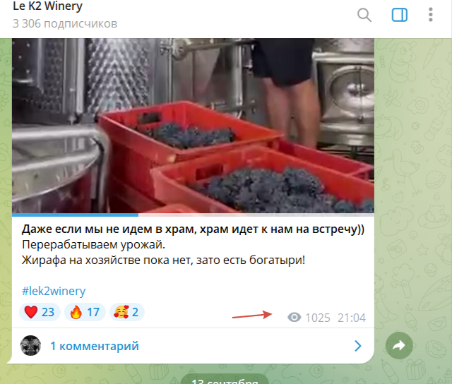 кира ефимова кира ефимова