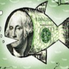 Marcus Capital Trading