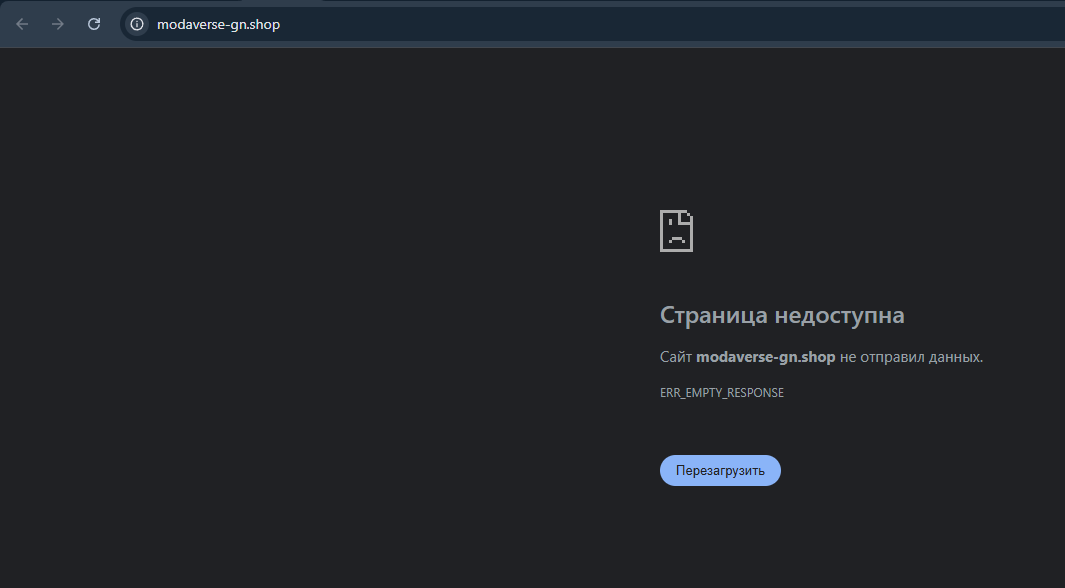 modaverse gn shop modaverse gn shop