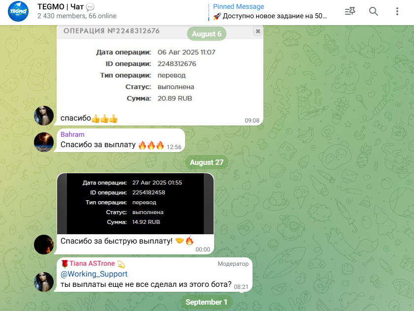tegmo pay tegmo pay
