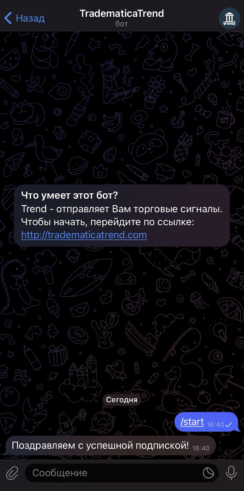 трейдматика трейдматика