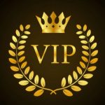 Vip Paid Channel