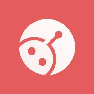Vpntype
