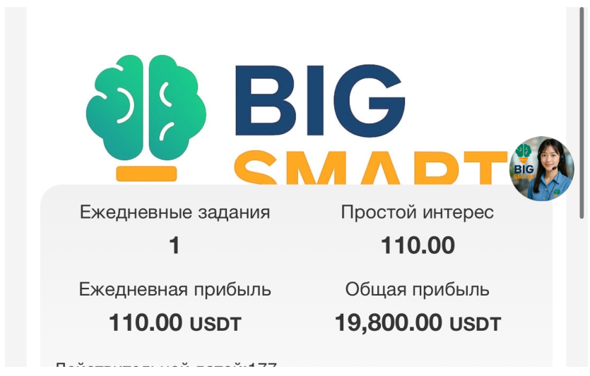 Bigsmart vip Bigsmart vip