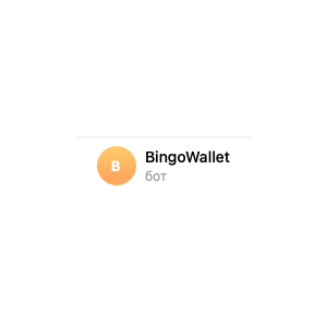 Bingo Wallet