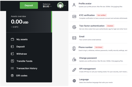 битторес битторес