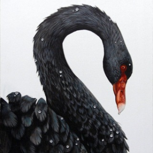 Blackswan