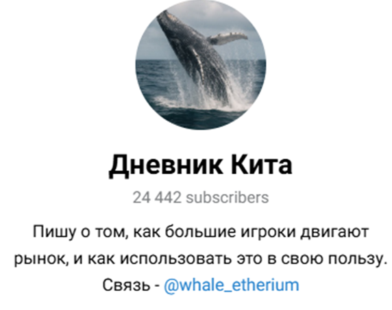 дневник кита тг канал дневник кита тг канал