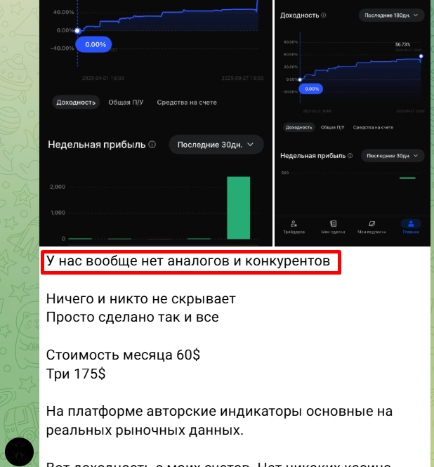 криптосенсей криптосенсей