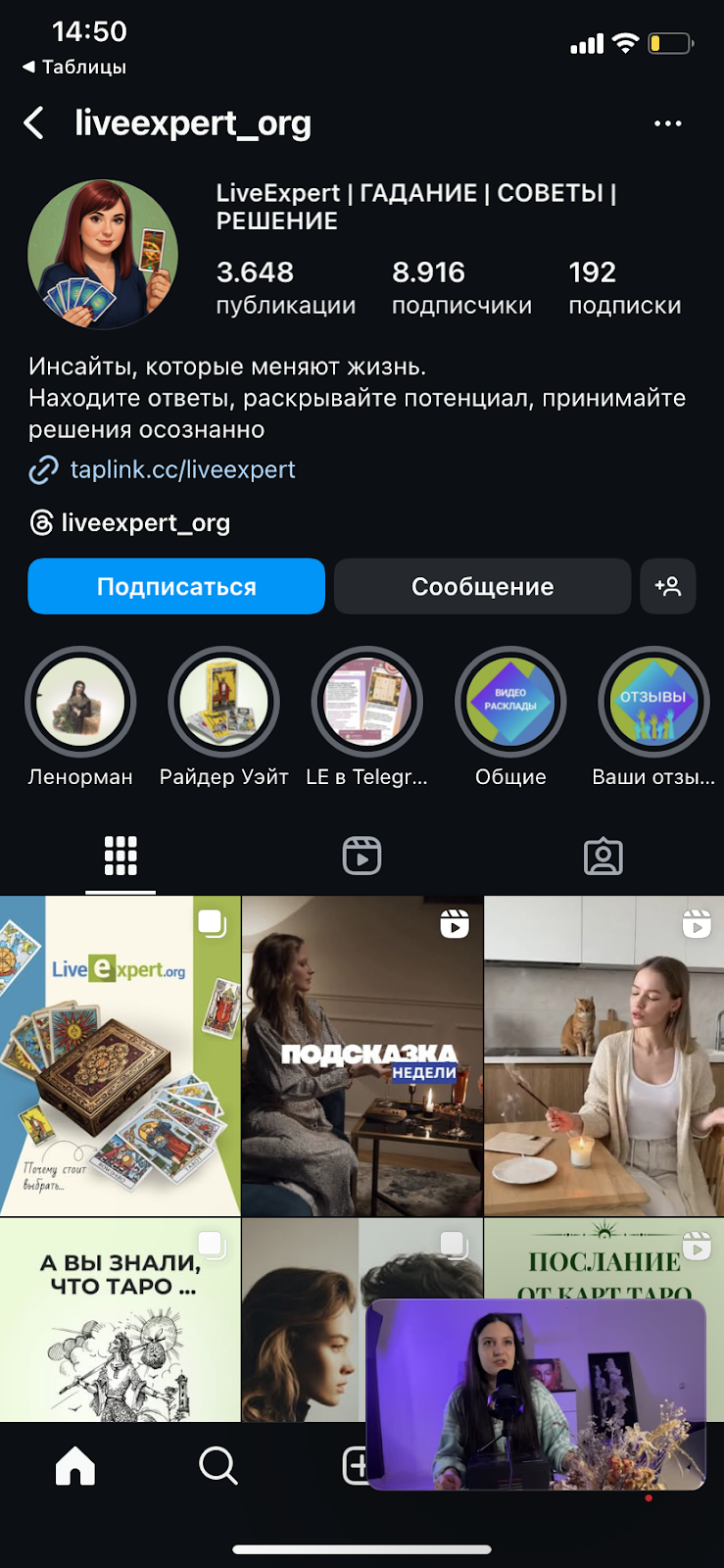 лайв эксперт лайв эксперт