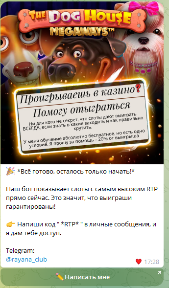 rayana soft rayana soft