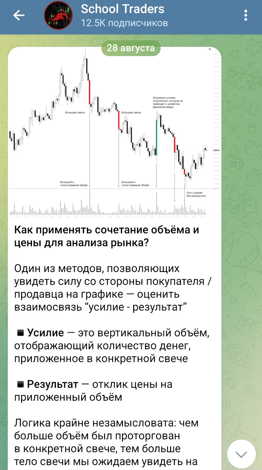 school trader тгк school trader тгк
