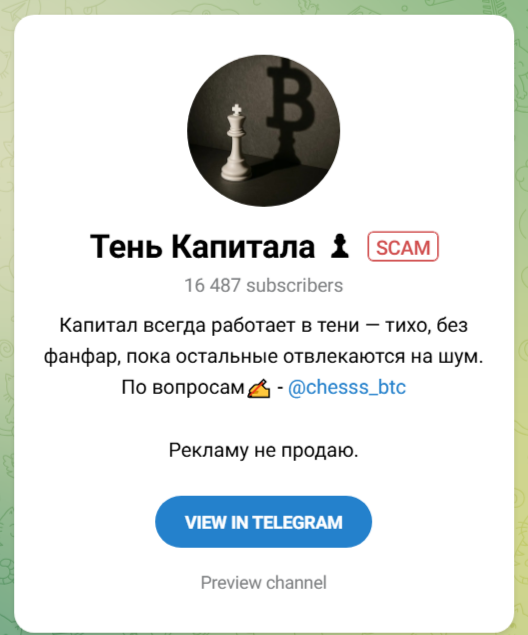 тень капитала тень капитала