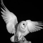 Взвешенный Трейдинг