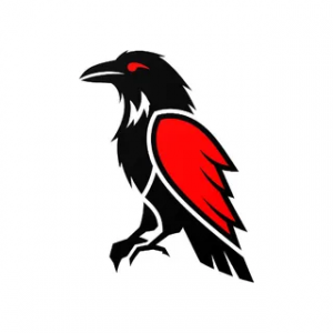 Задания За Деньги