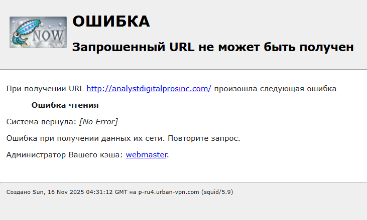 Analyst Digital Pros Inc Analyst Digital Pros Inc