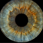 Говорит Дроган