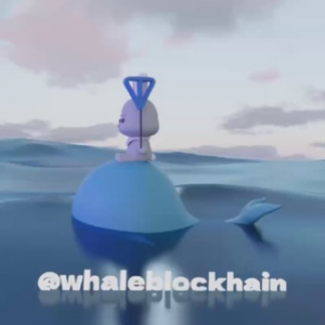 Киты не Спят