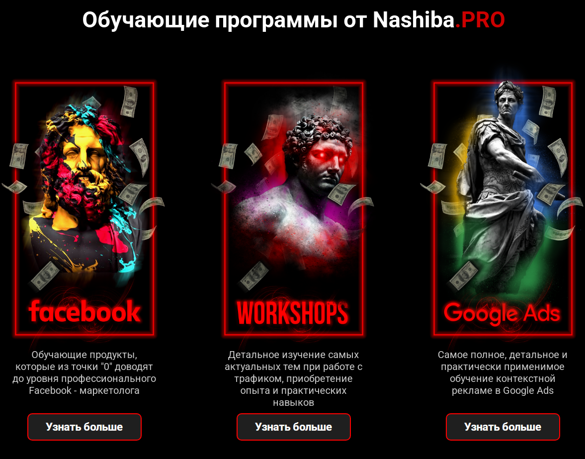 nashiba pro nashiba pro